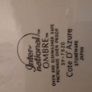 International Ombre Stoneware Plate